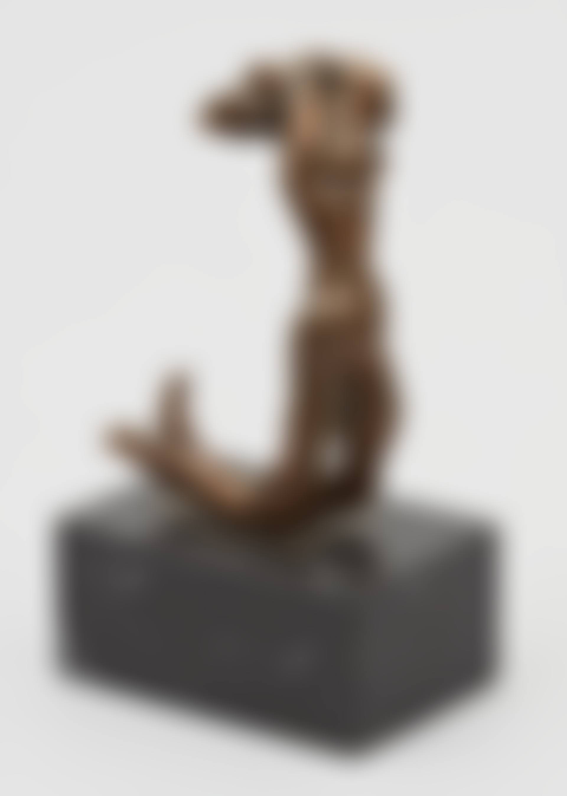 "Angel of Victory" (preview)