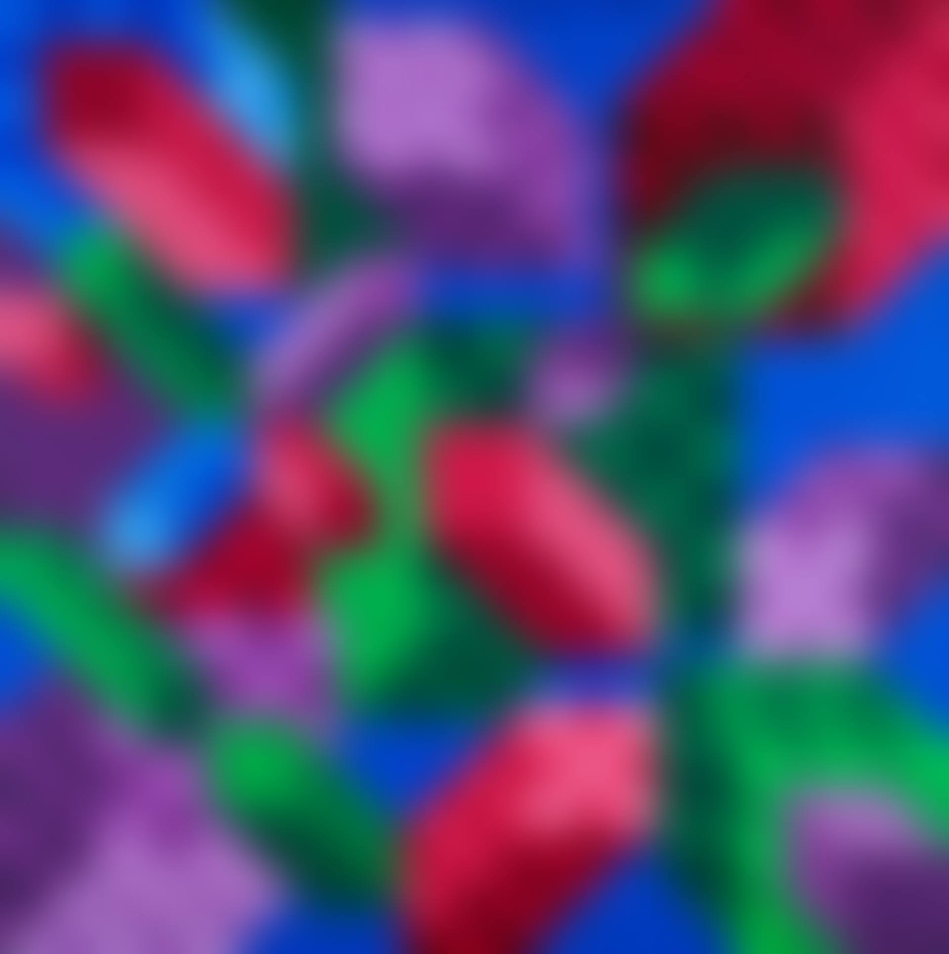”Citineu-II”. (preview)