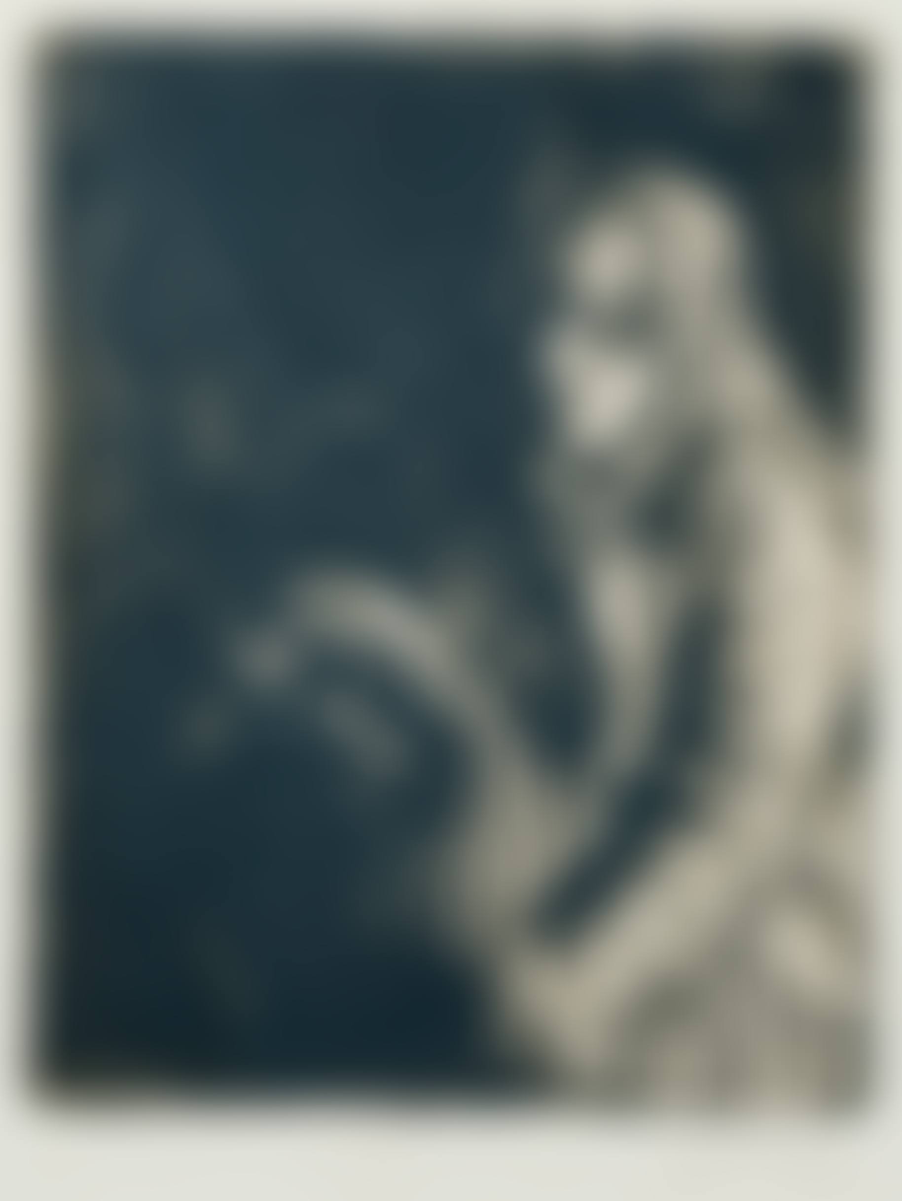"Madonna" (preview)