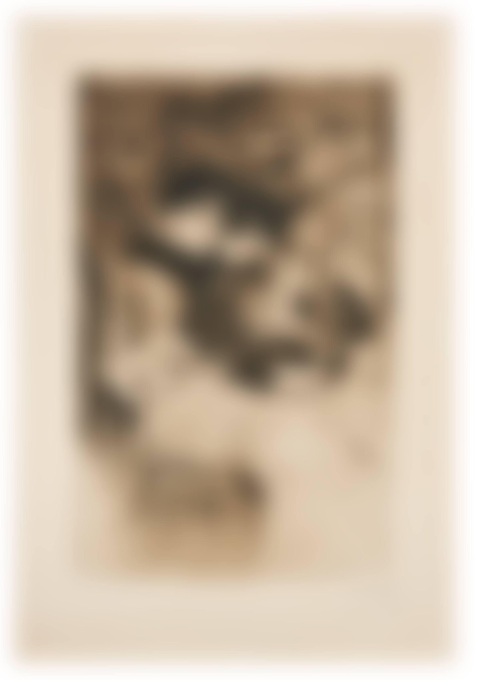 "The cousins" (preview)
