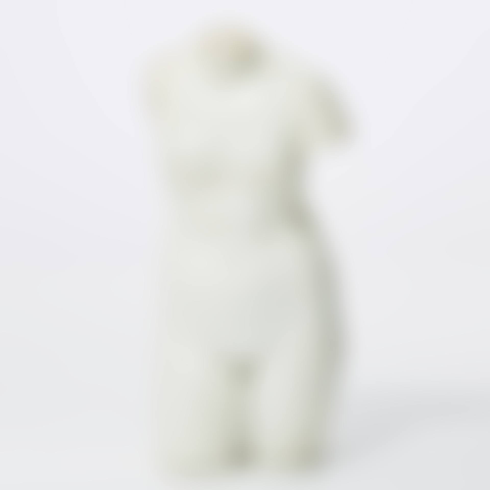 Torso of Venus (preview)