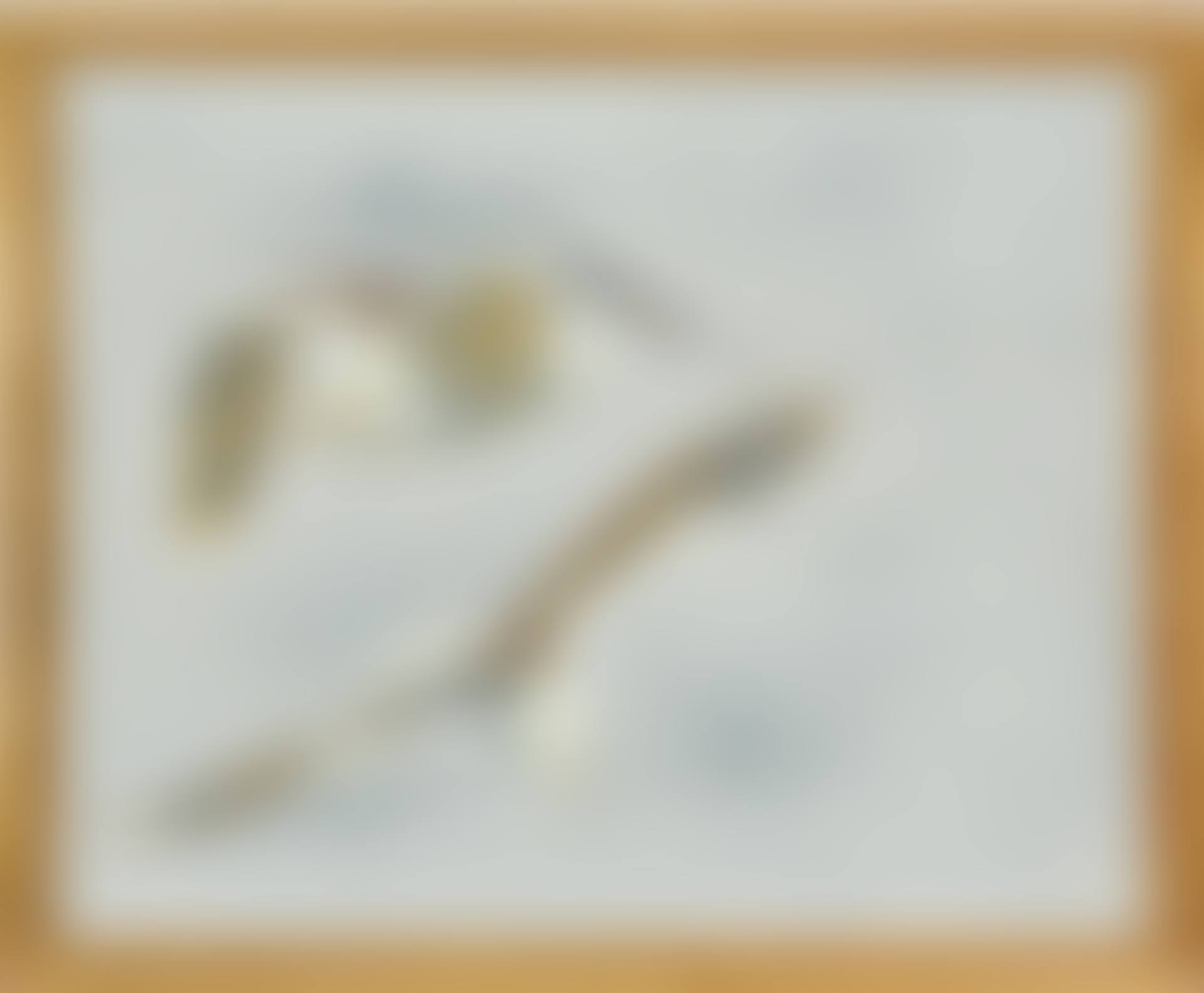 Flying seagulls (preview)