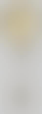 A Scandinavian 17th century spoon (preview)