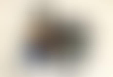 ”Barcelona” plate I (preview)