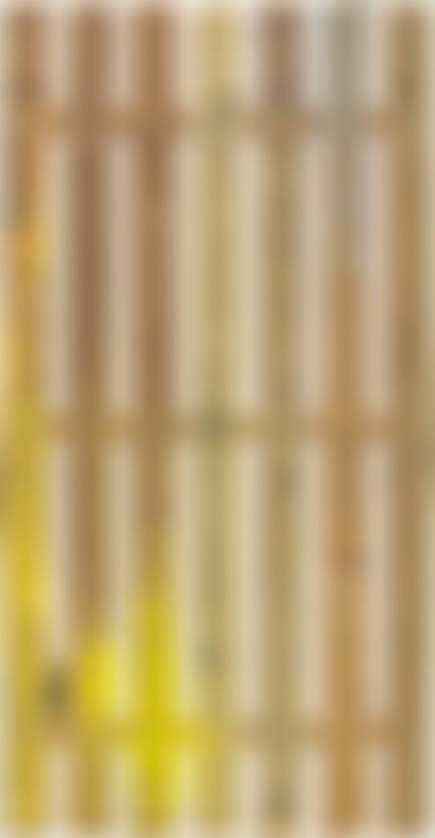 Untitled (Frieze Garden Painting #04) (preview)