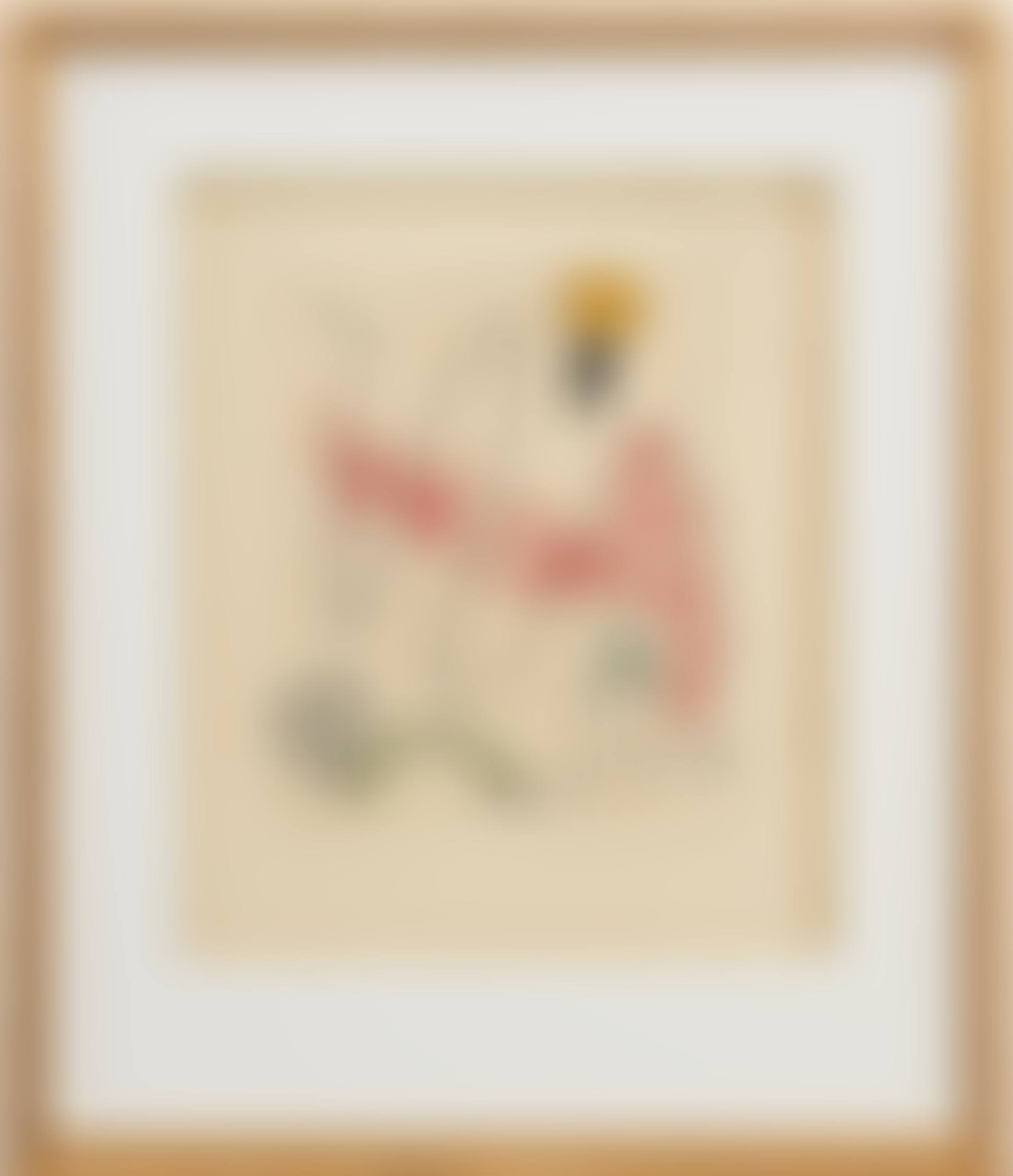 "Oiseaux en peril" (preview)