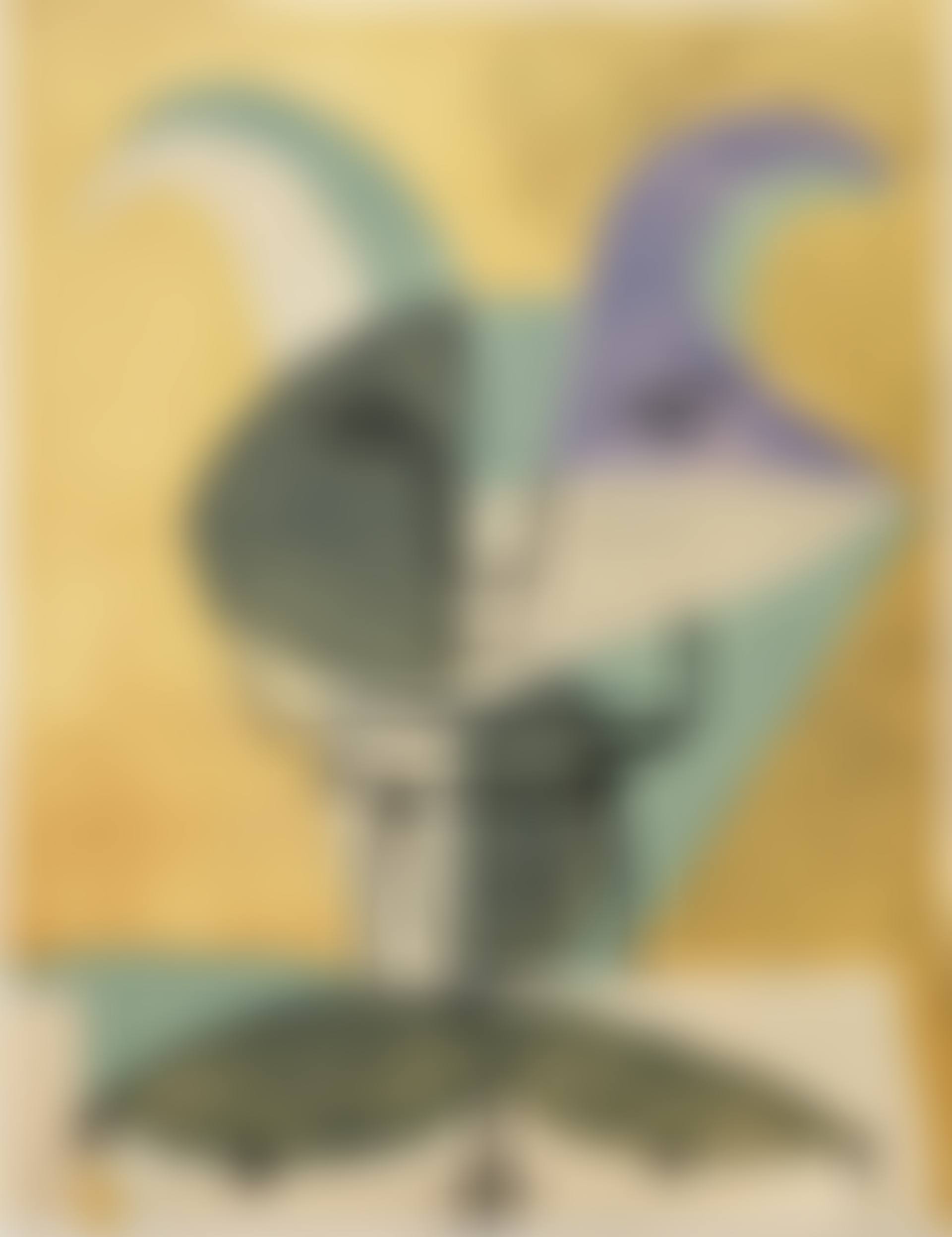 from "Faunes et Flore d"Antibes" (preview)