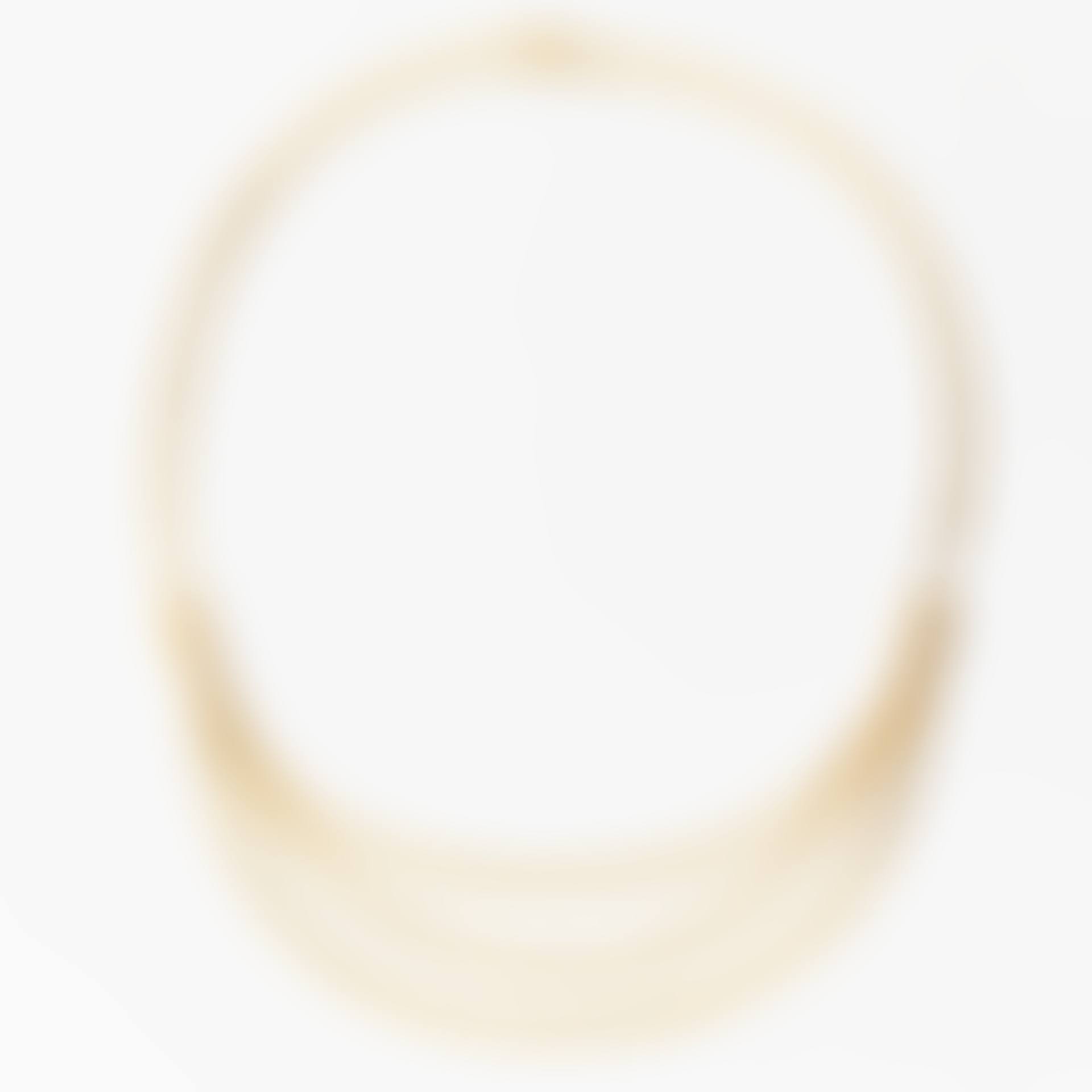 Necklace 18K gold; So called "bib" (preview)