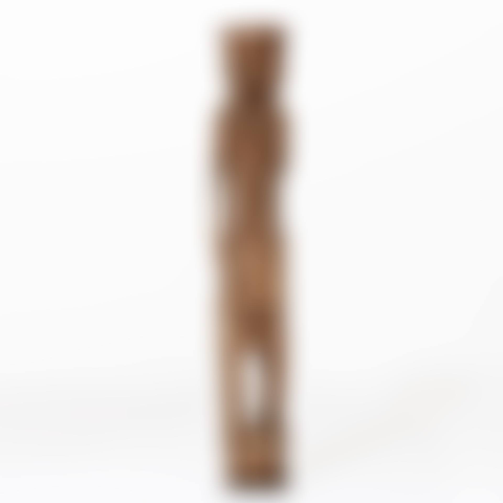 Village watchman from the Jarai people (preview)