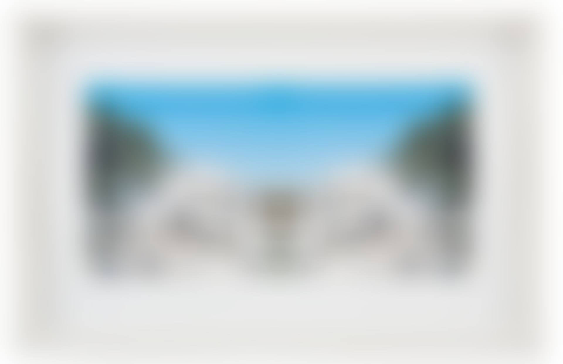 "Bow-tie Screwhead (Bow Tie Landscapes)" (preview)