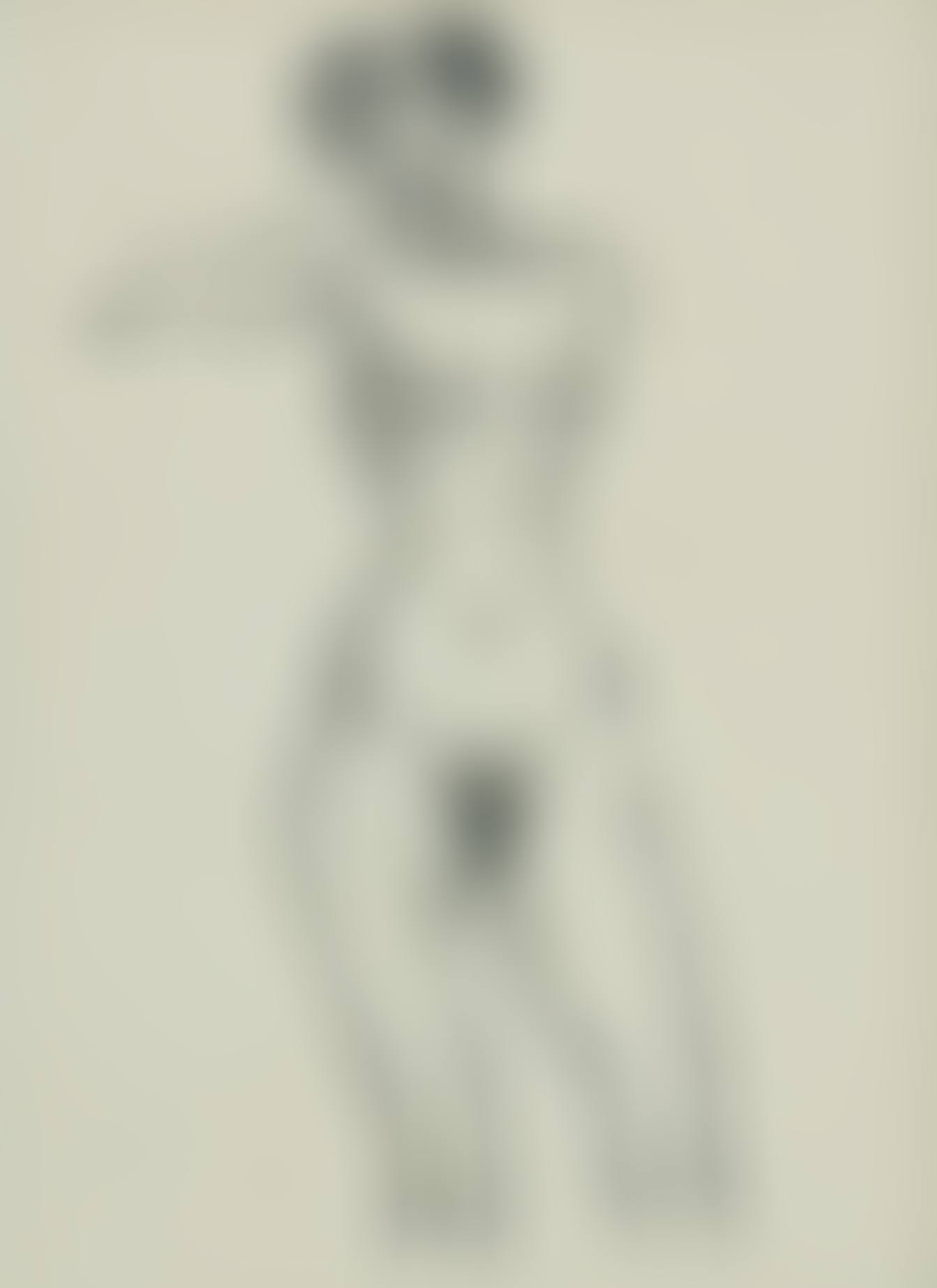 Stehender weiblicher akt/Standing female nude (preview)