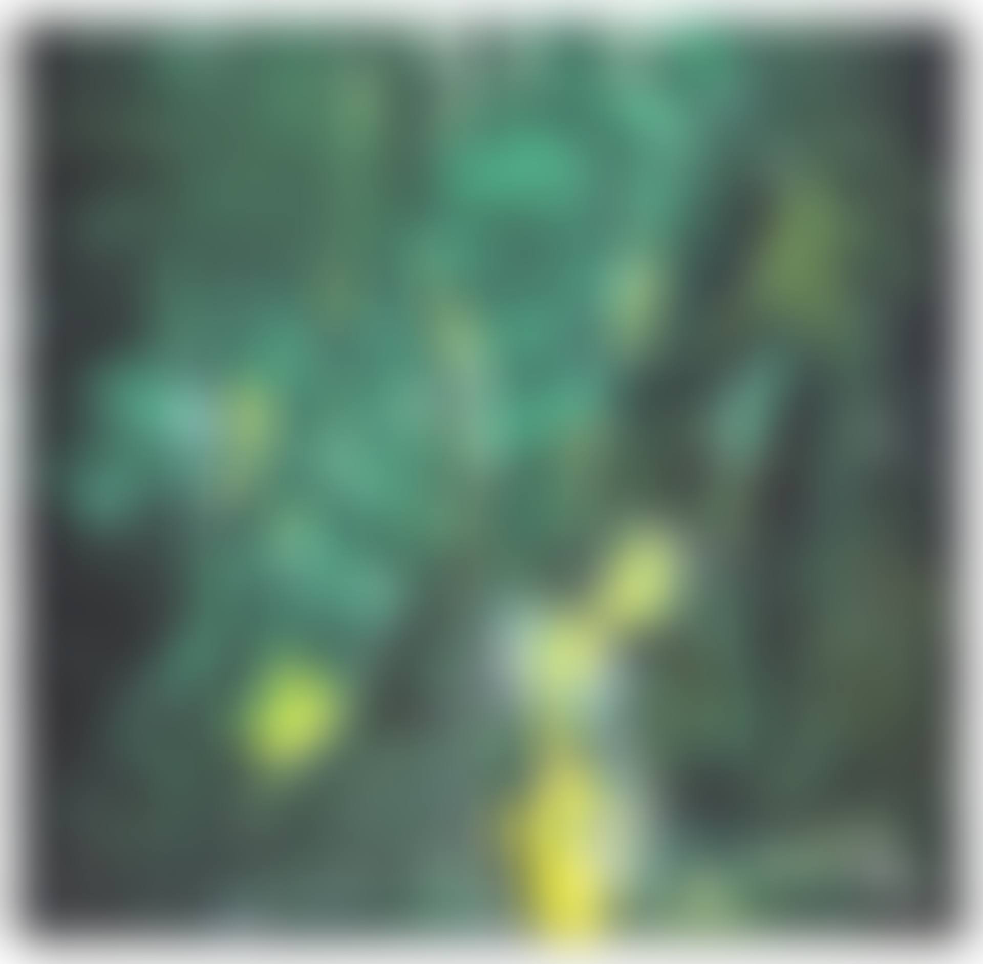 Fleur mur (preview)