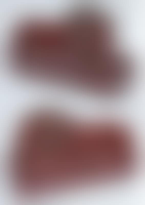 Terracotta recumbent lions (preview)
