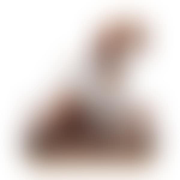 porcelain spaniel (preview)