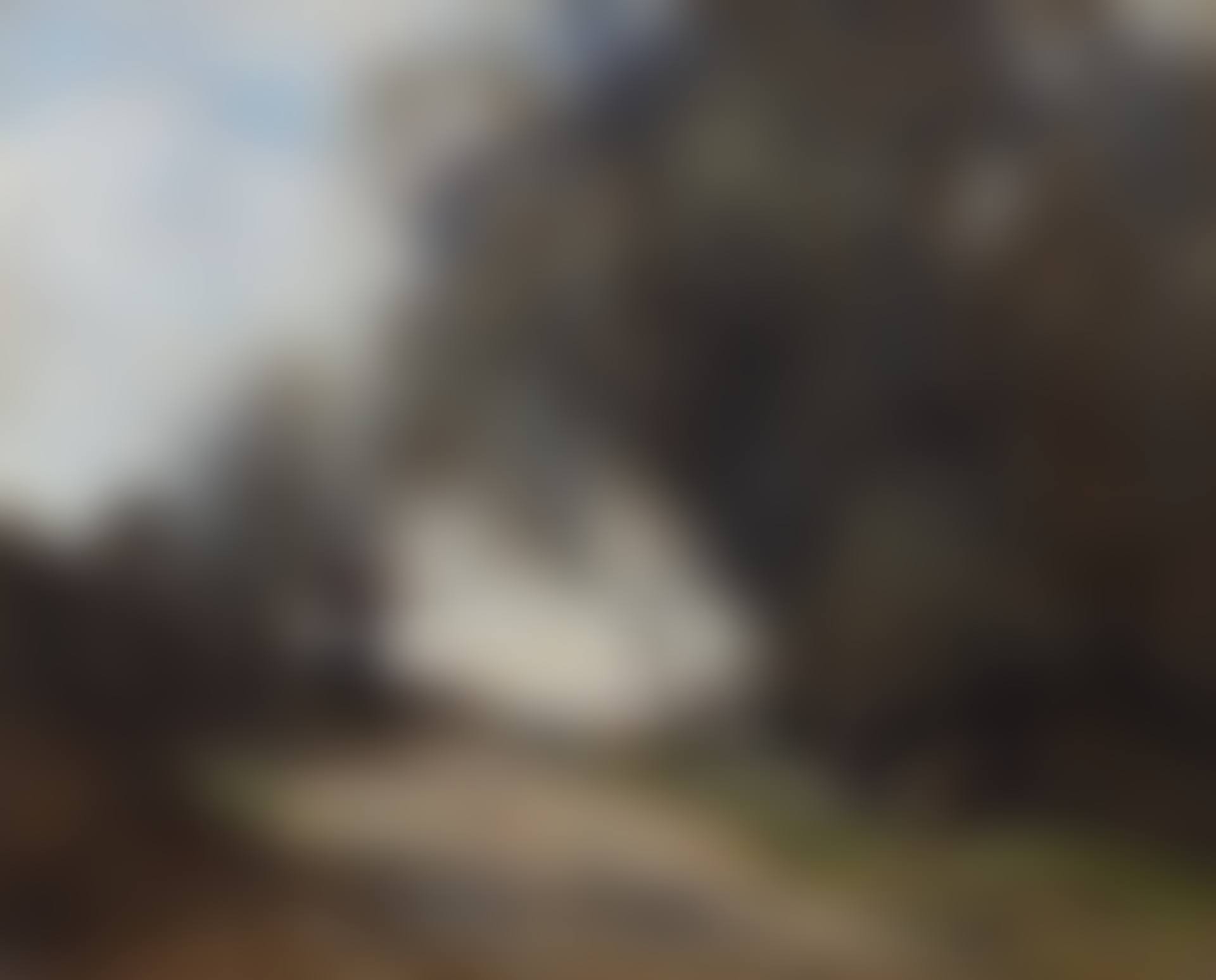 La cueillette au bord du chemin (preview)