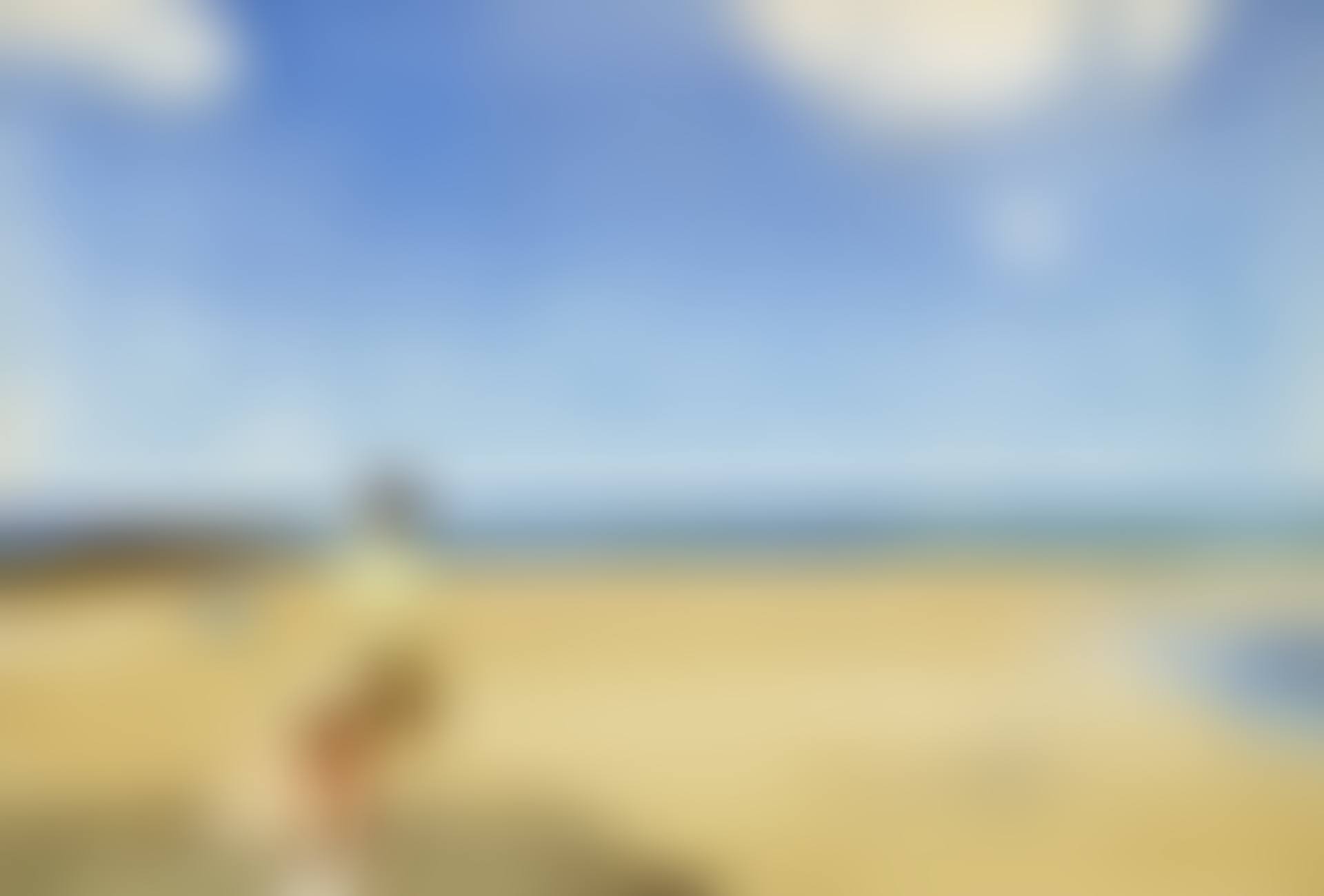 Noonday Silence (preview)