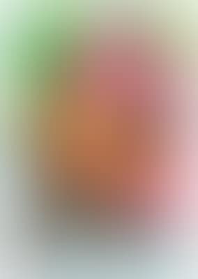 Dreamer (preview)