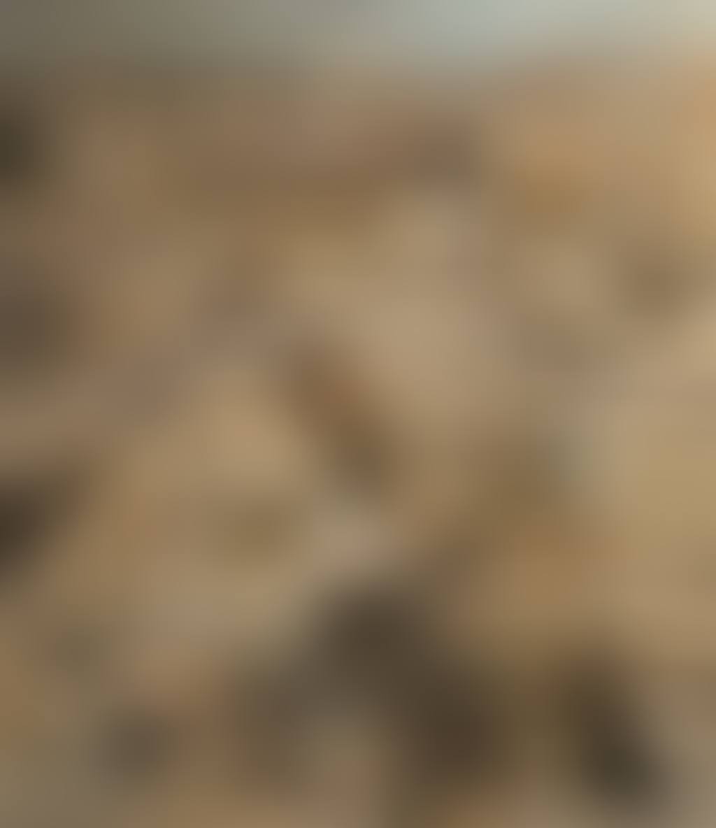 Jaffa gate entrance in the Old City of Jerusalem (preview)