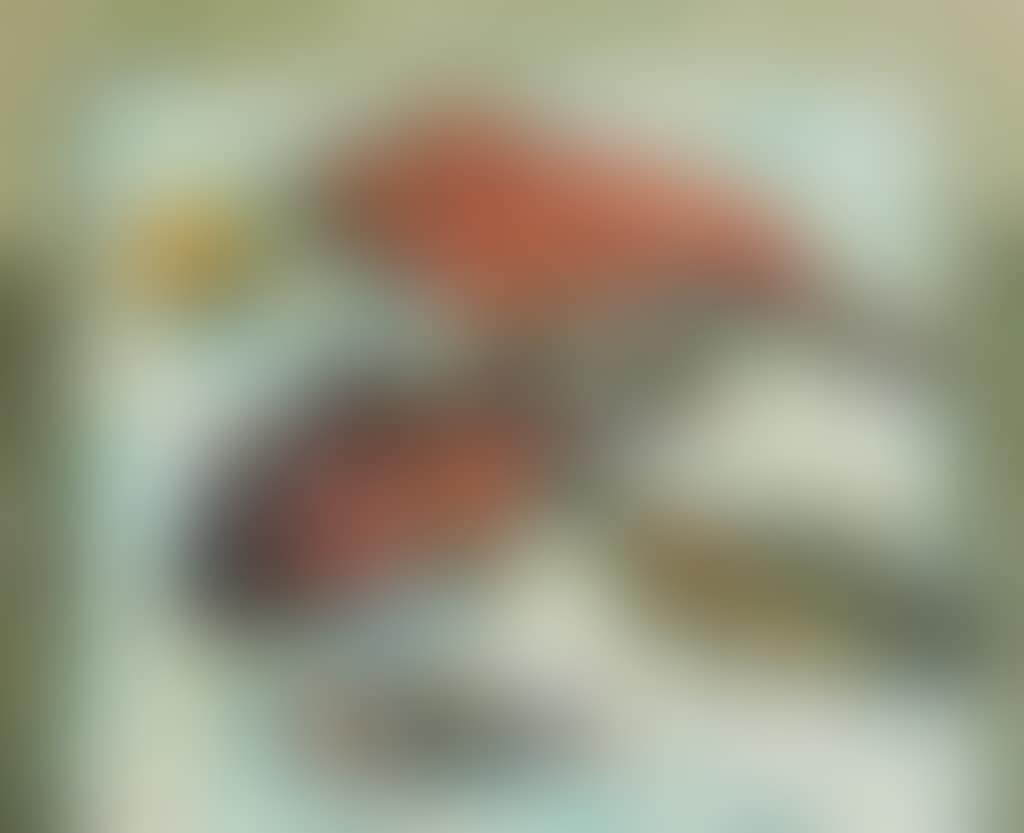 Fish (preview)