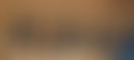 Still life (preview)