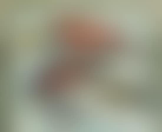 The fish (preview)