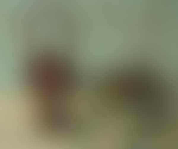 Still life (preview)