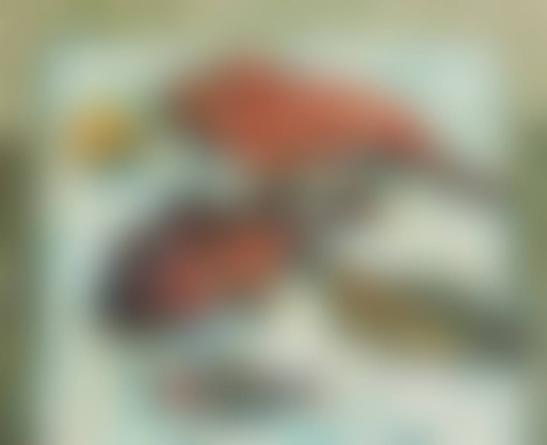 Fish (preview)
