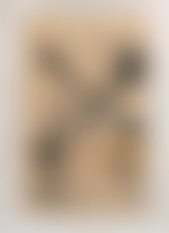 Untitled (preview)