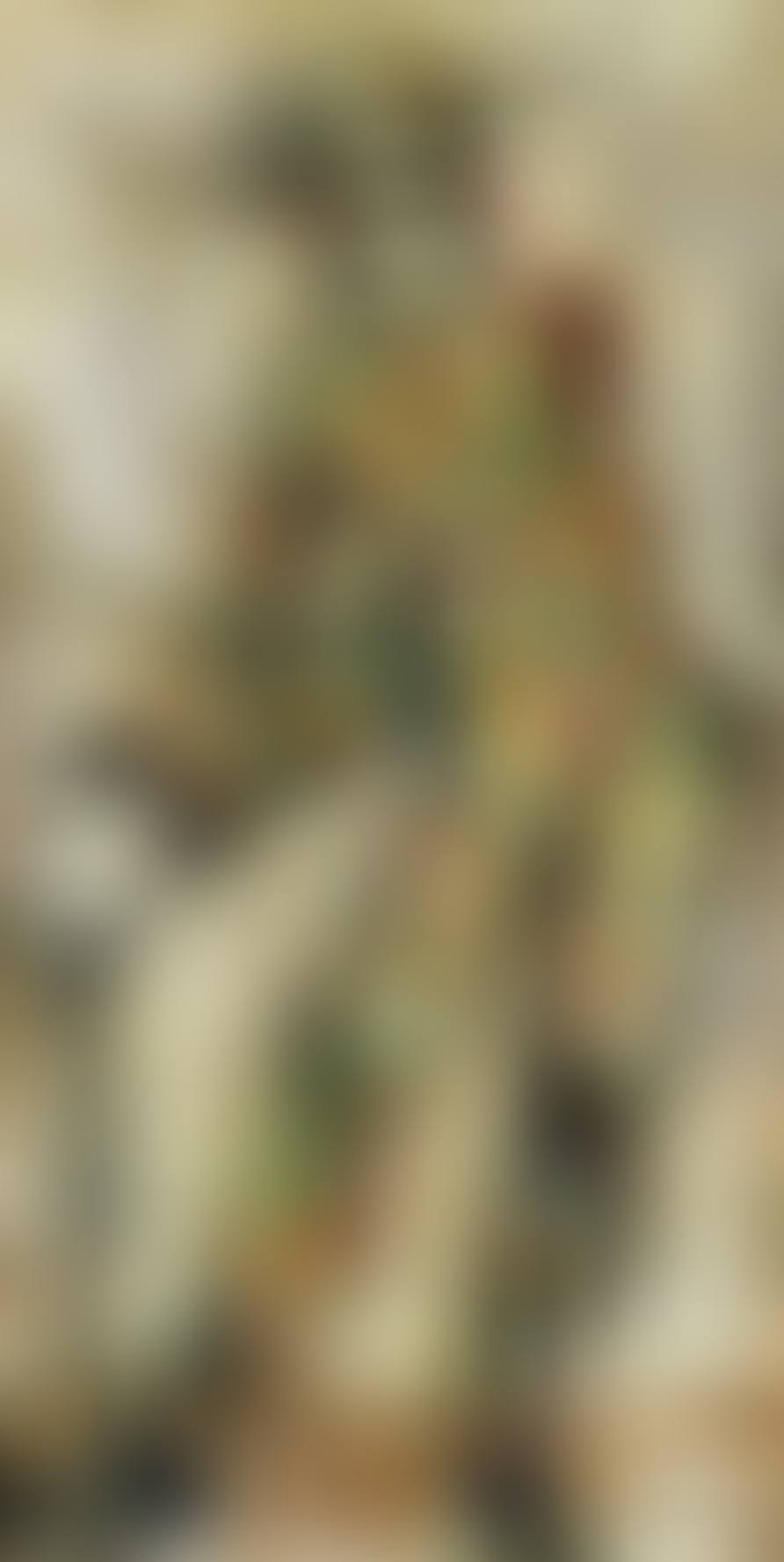 Harlequin (preview)