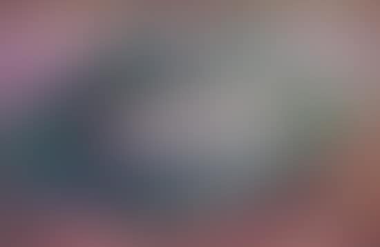 Still life (preview)