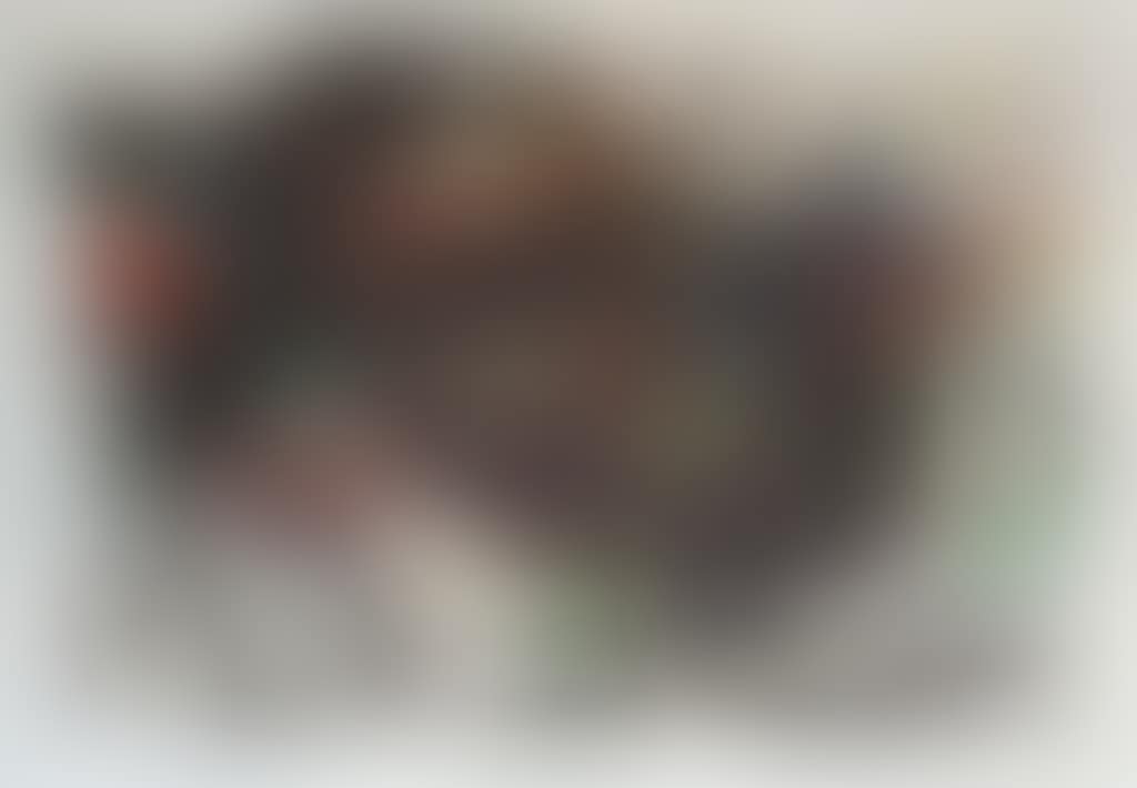 Derriere le miroir (preview)