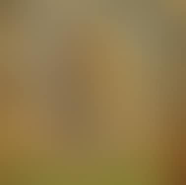 Tree in landscape (preview)