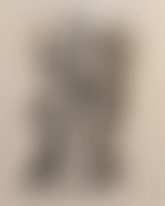 Figure (preview)