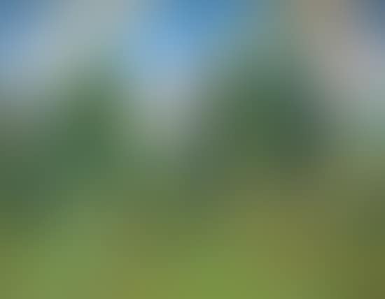 Gathering mushrooms (preview)
