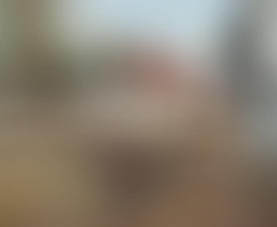 In Sonnenschein bei Volluvet (preview)