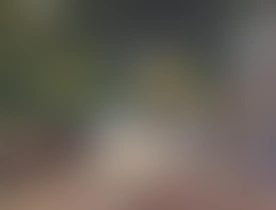 Park view (preview)