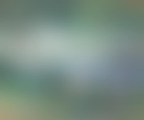 Figures by the river Seine (preview)