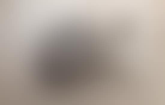 "Lamme toy or toy" (preview)
