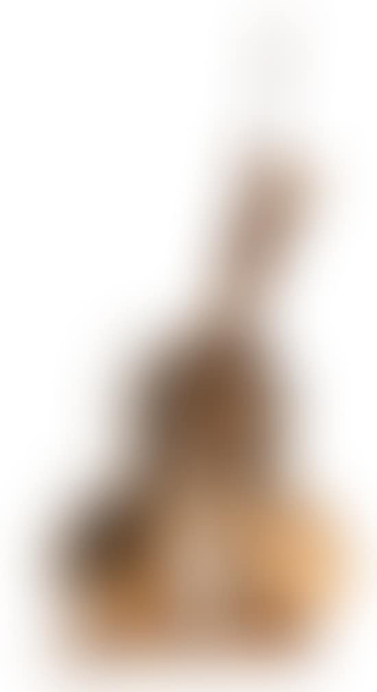 Violon decoupe (preview)