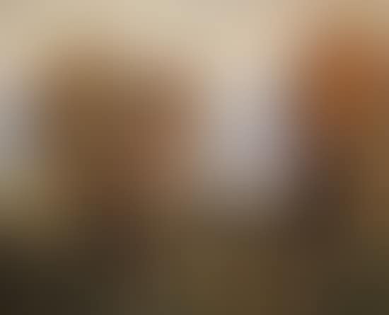 Schweriner See (preview)