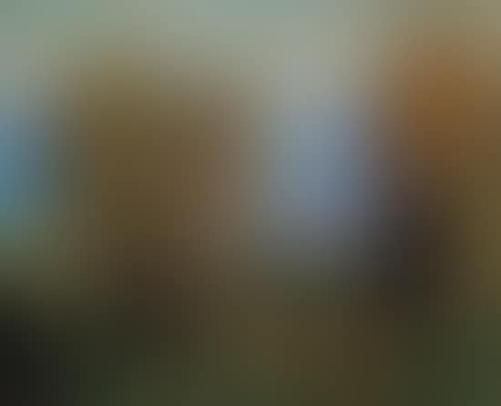 Schweriner See (preview)