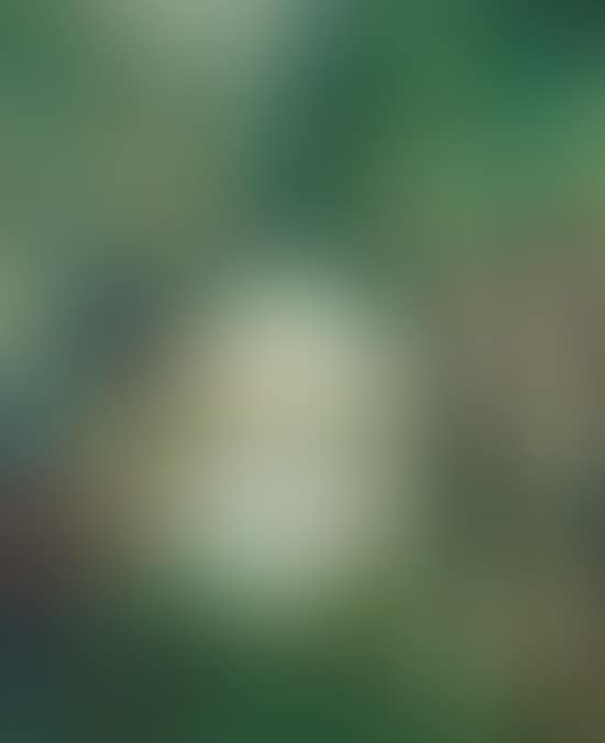 Landscape (preview)