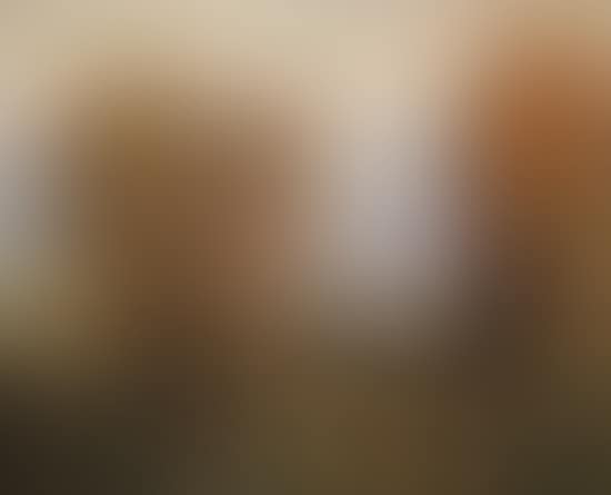 Schweriner see (preview)