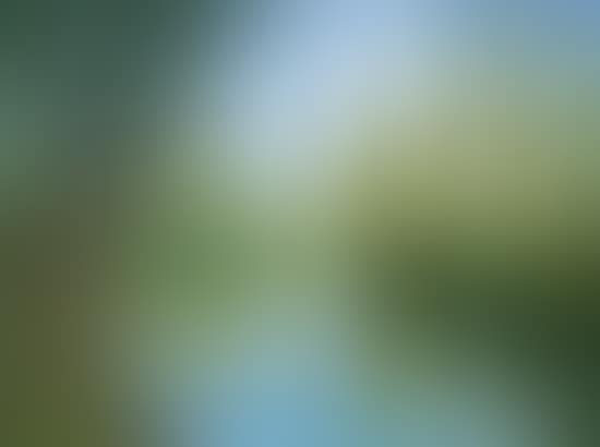 L"orne א l"automne (preview)