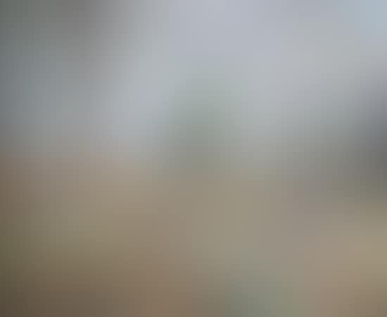Les Fleurs du Bois de Deerpark à Virginia (County Cavan, Ireland) (preview)
