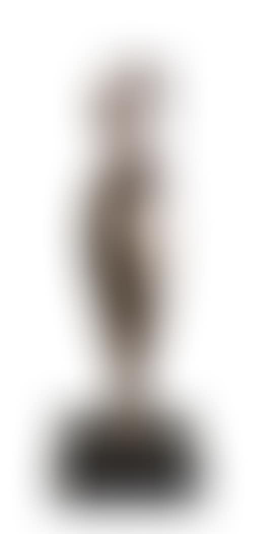 Flat torso (preview)
