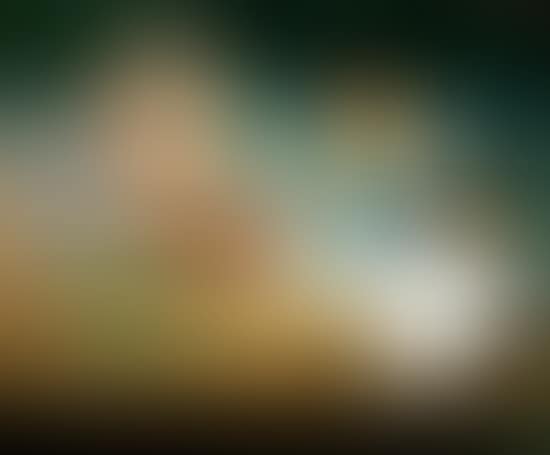 Still life (preview)