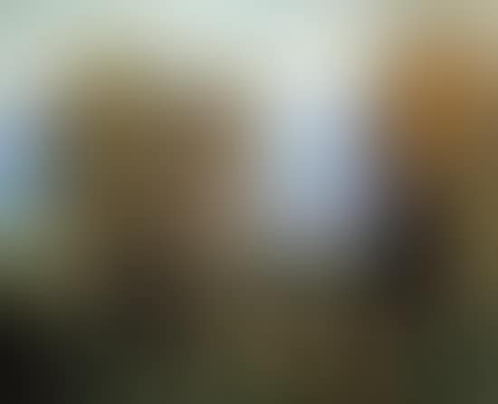 Schweriner See (preview)