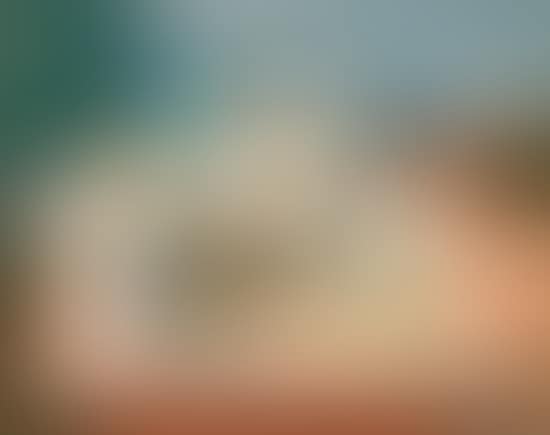 Nature morte avec mandoline (preview)