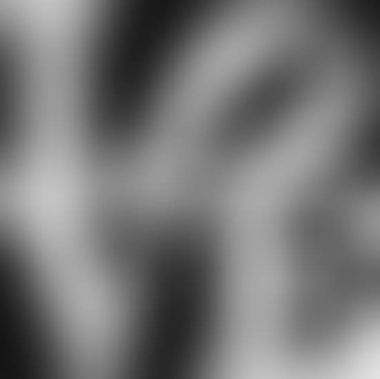 White on black chosen love (preview)